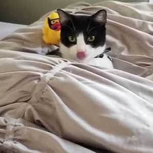 Meet your Posher, Patti-lu